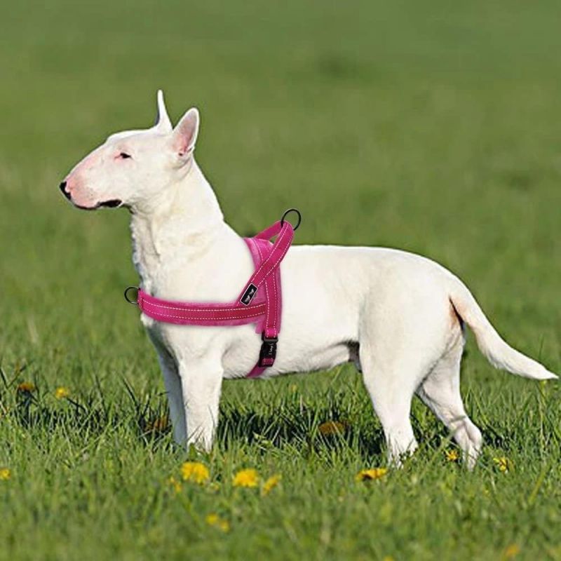 Soft Flannel Padded Dog Vest Harness