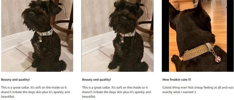 Luxury Dog Collars Adjustable Collars for Small Dog and Cat
