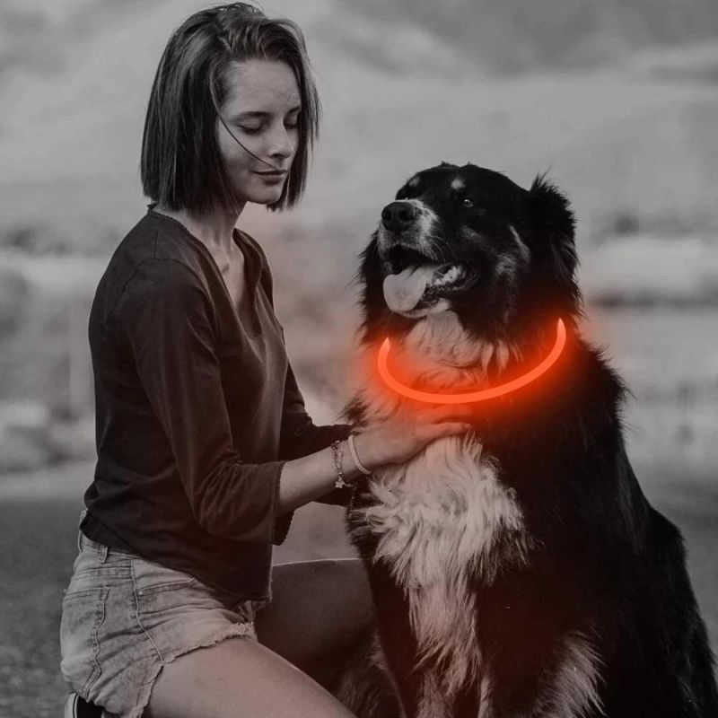Spupps Orange Color TPU Light up LED Dog Collars for Small Medium Large Dogs