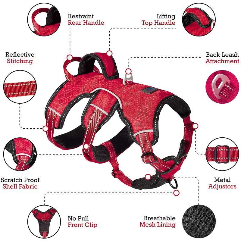 Dual Escape Proof Padded Dog Harness for Comfortable with Handle Dog Lift Harness