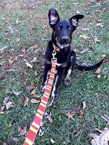 Puppy Wizard School Printing Adjustable Collars with Funny Leash for Pets Dogs Cats Small Medium Large Pet