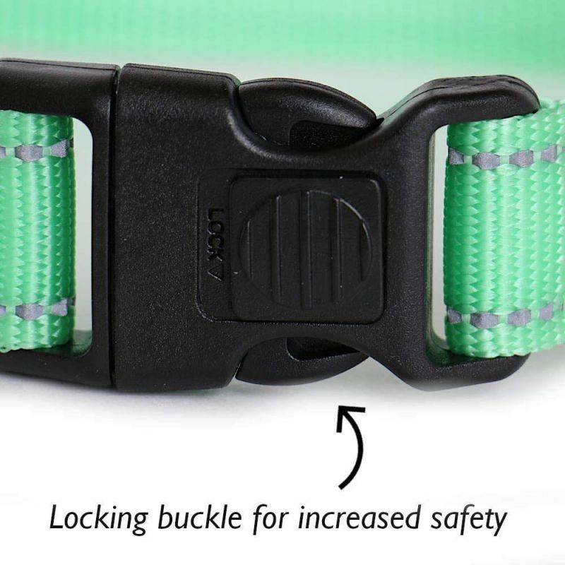 Highly Reflective Dog Collar with Lockable Buckle
