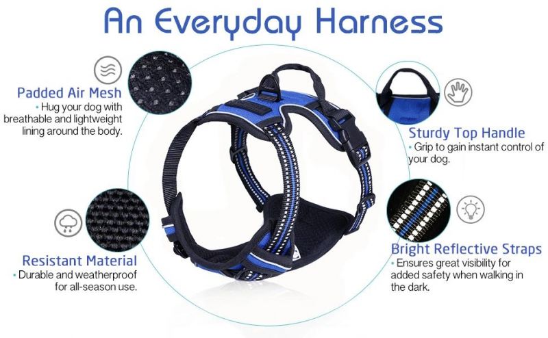 Easy Control Outdoor No-Pull Pet Harness