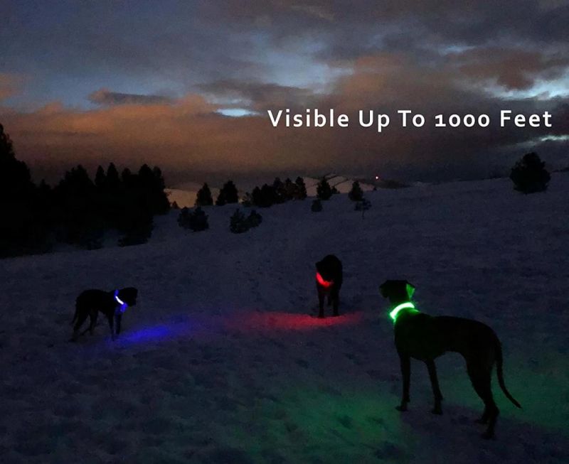 USB Rechargeable LED Collar - Super Bright, Flashing, Blinking, Small/Medium/Large - Night Safety & Visibility - a Must Pet Dog Collar