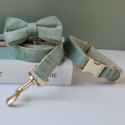 Recycled Material Cosy Safety Basic Padded High-End Classic Luxury Dog Puppy Collar
