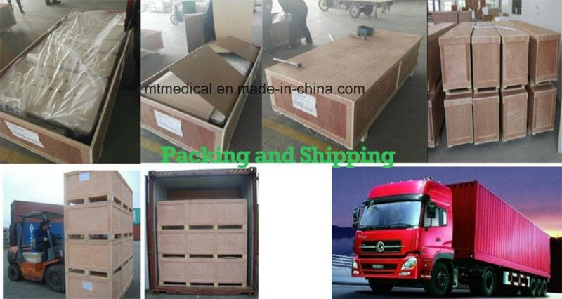 Mt Medical Chinese Manufacturer Pet Stainless Steel Cages Carriers Houses Dog Supplier