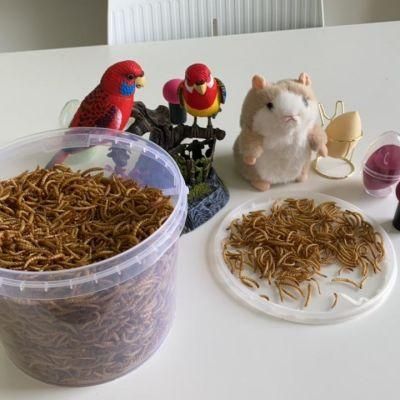 Dried Mealworms High Protein Customised Birds Food for Fishes Reptiles in Bags 100g Factory Directly Supply