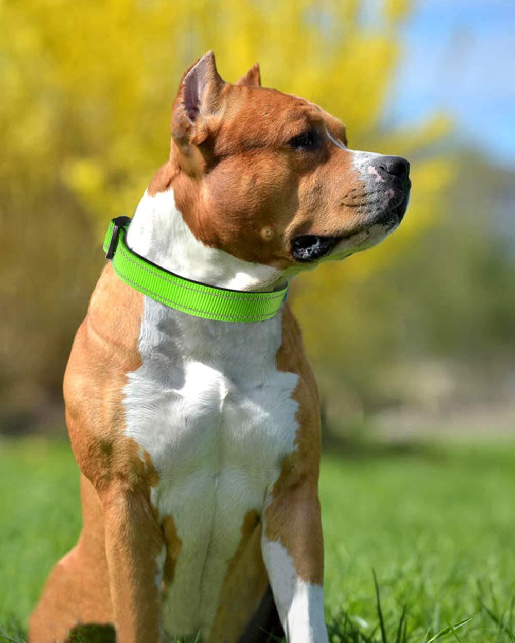 Soft Neoprene Padded Breathable Nylon Pet Collar with Adjustable Size