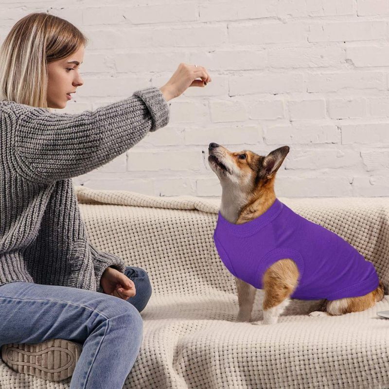 Hot Sale Summer Dog T-Shirt with Fast Delivery