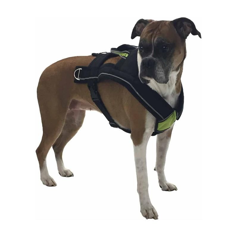 Safety Reflective Strips Adjustable Padded Dog Harness Vest for Sledding, Running, Jogging and Exercise