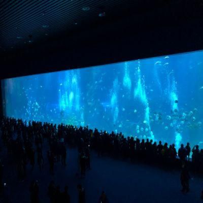 World Guinness Records for Acrylic Panel Aquarium Project