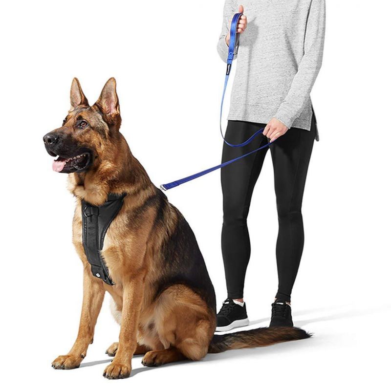 Factory Wholesale Fashion Design Reflective Leash Personalized Durable Retractable Pet Dog Leashes