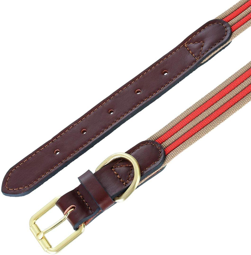 Dog Collar with Strong Soft Canvas Belt with Leather Tips and Zinc Alloy Rings