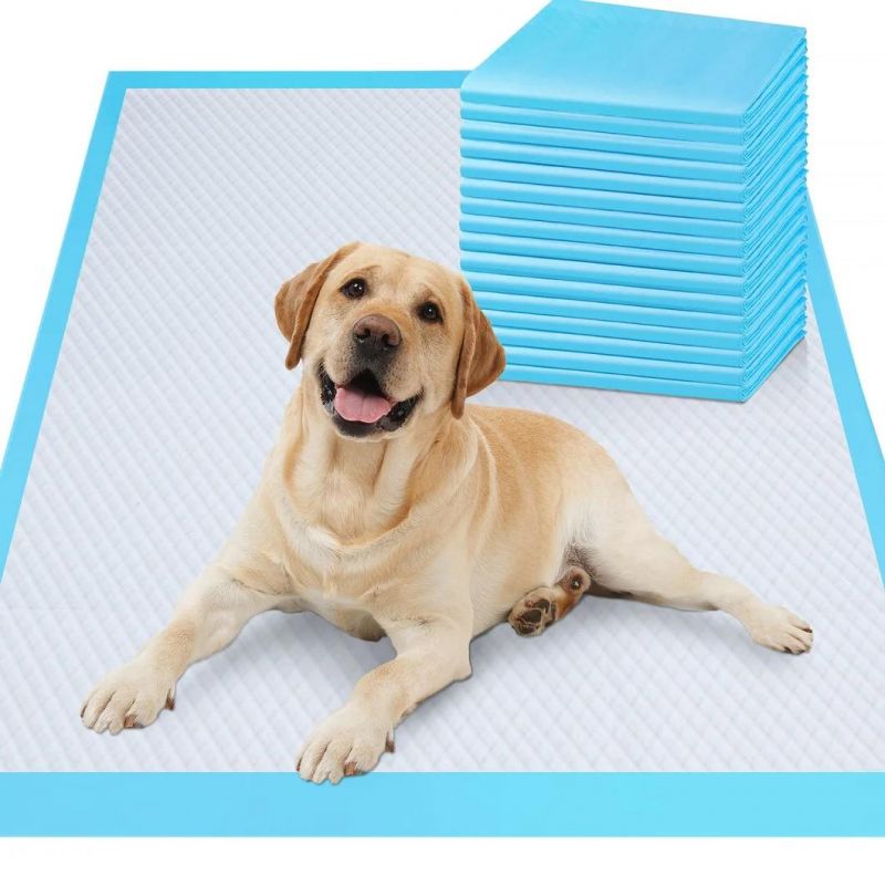 Manufacturer Free Sample 30X36 Pet Training Disposable Underpads for Pet Dog