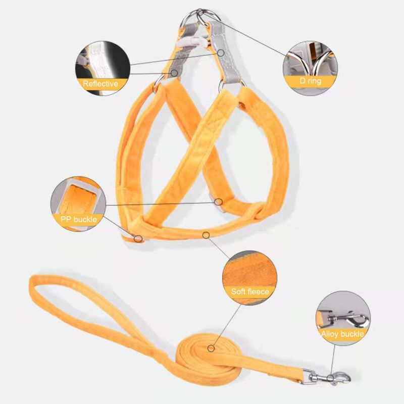 Dog Harness with Pet Leash Set Triangle Pet Harness