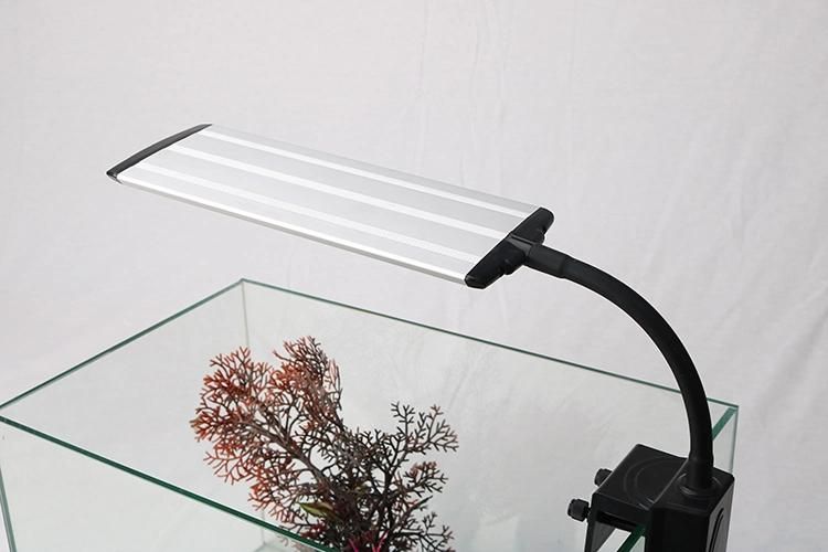 Aquarium LED Clamp Light with Timer 10W on Open Tank
