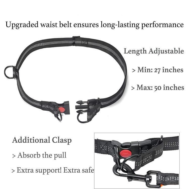 Durable Padded Dual Hands Free Reflective Nylon Bungee Dog Leash