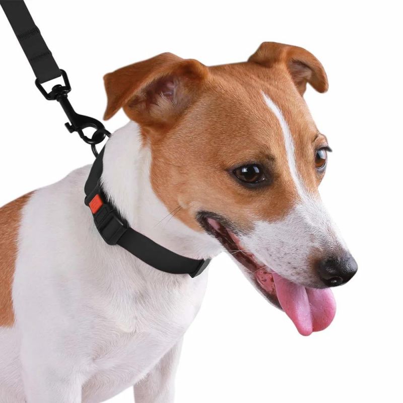 Colorful Waterproof Pet Collars Adjustable Dog Collar for Swimming Weather Resistant