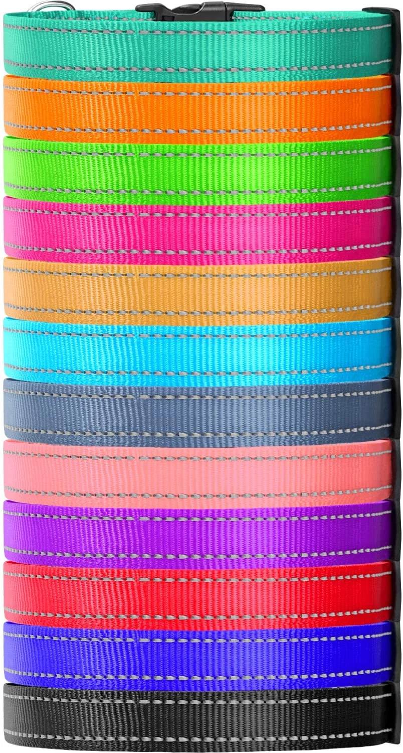 Reflective Nylon Dog Collar with Matching Leash