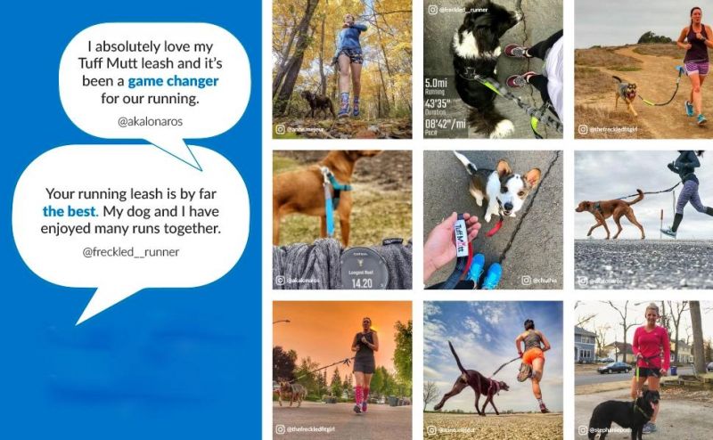 Reflective Stitching Dog Leash for Running, Hiking, Walking