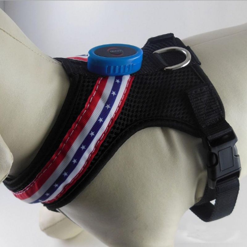 LED Dog Harness - USB Rechargeable