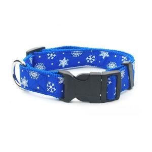 Pet Products of OEM Dog Collar