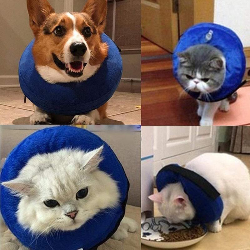 Protective Self Inflatable Collar Soft Cone After Surgery Recovery for Pets