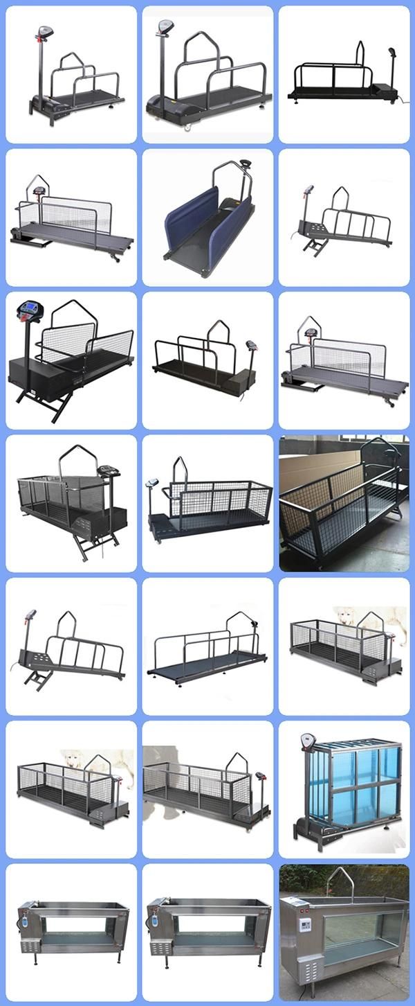 304 Stainless Steel Dog Hydrotherapy Treadmill