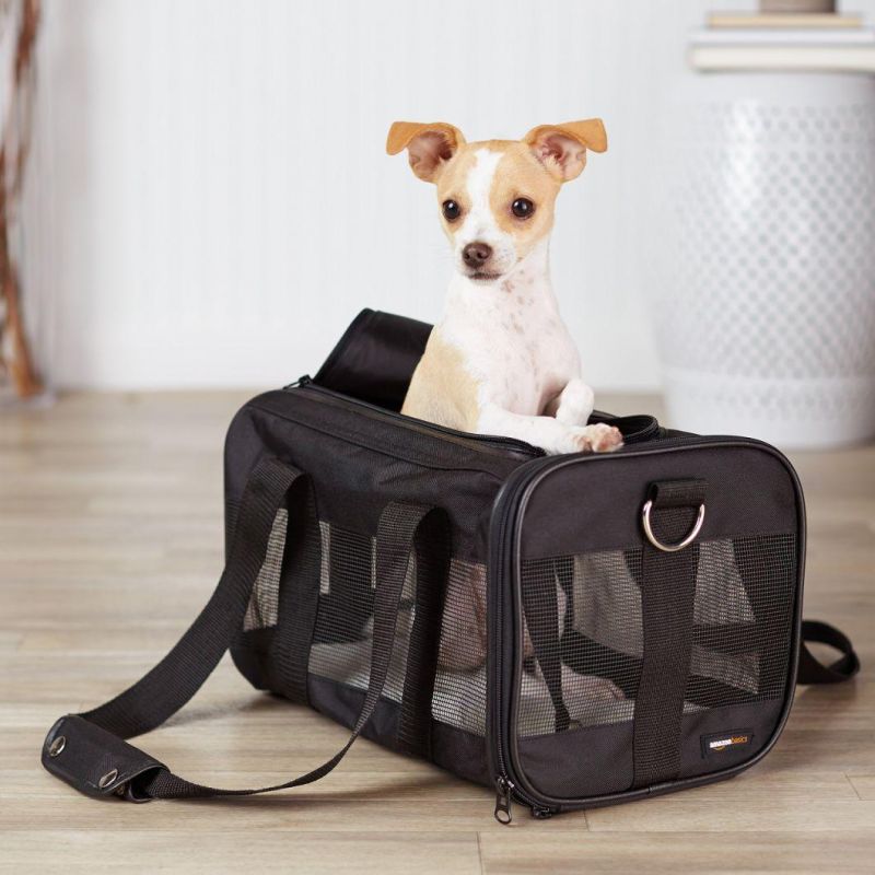 Soft-Sided Mesh Pet Travel Carrier