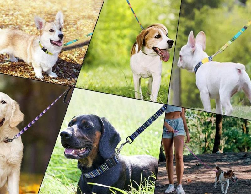 Soft Pet Leash Charming Purple Dog Leash