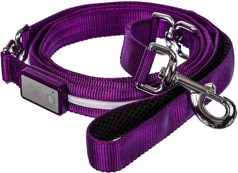 Safety LED Dog Leash - USB Rechargeable Flashing Light LED Dog Leash