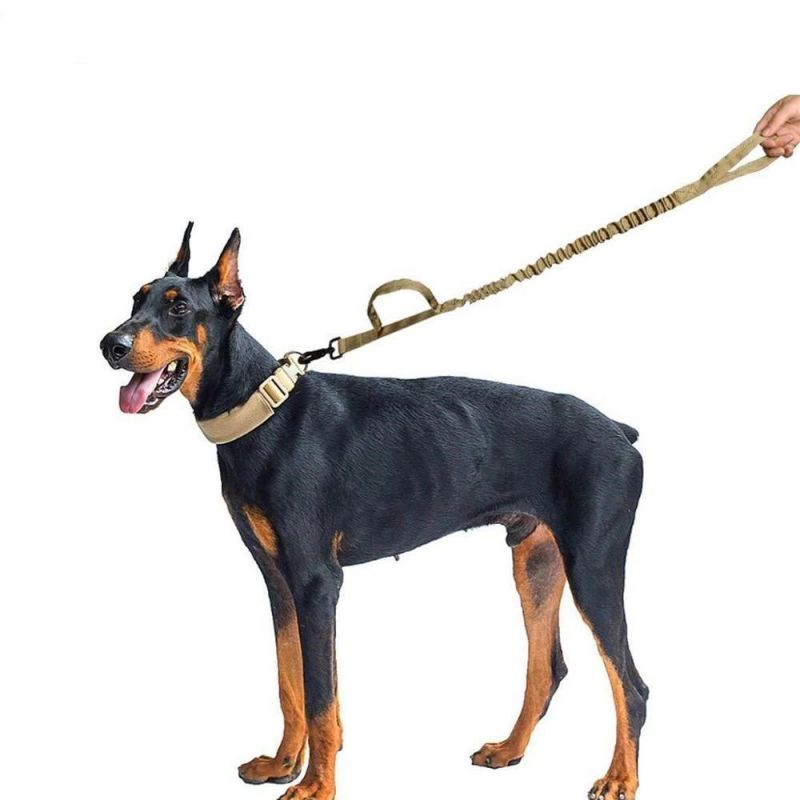 Nylon Tactical Bungee Dog Leash with Double Handles for Training Dogs