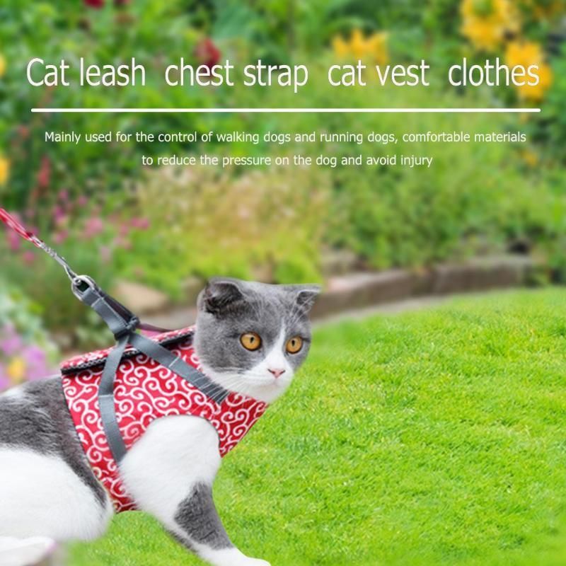 Fashion Pet Cat Vest Outdoor Travel Walking Harness Leash Set Wholesale Dog Clothing