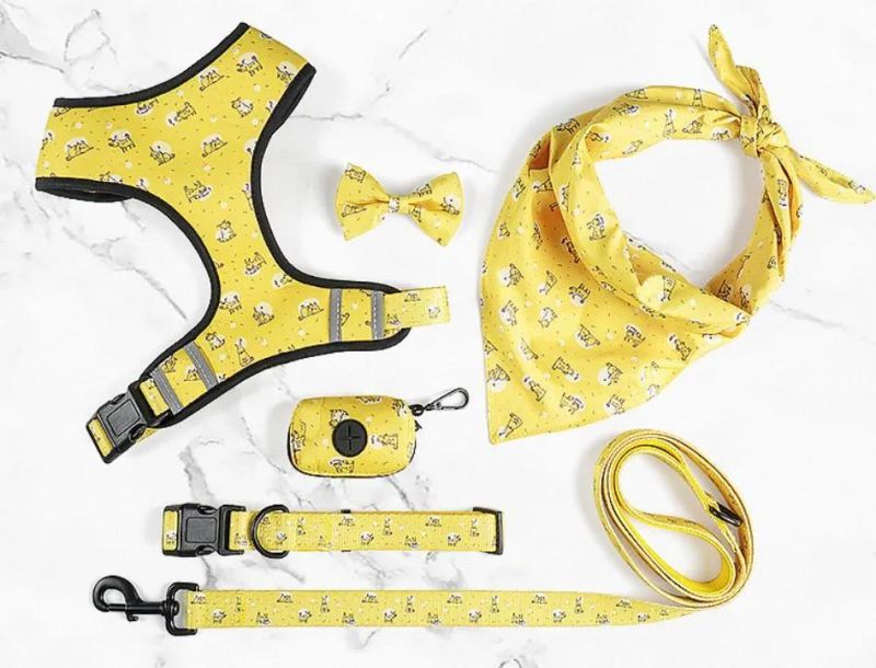 Amazon Popular Printing Pet Collars Harness Dog Leash Set