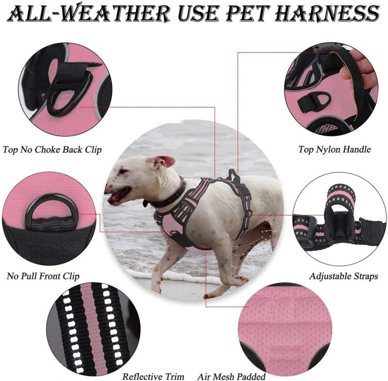Adjuatable & Easy to Use Nylon Pet Harness
