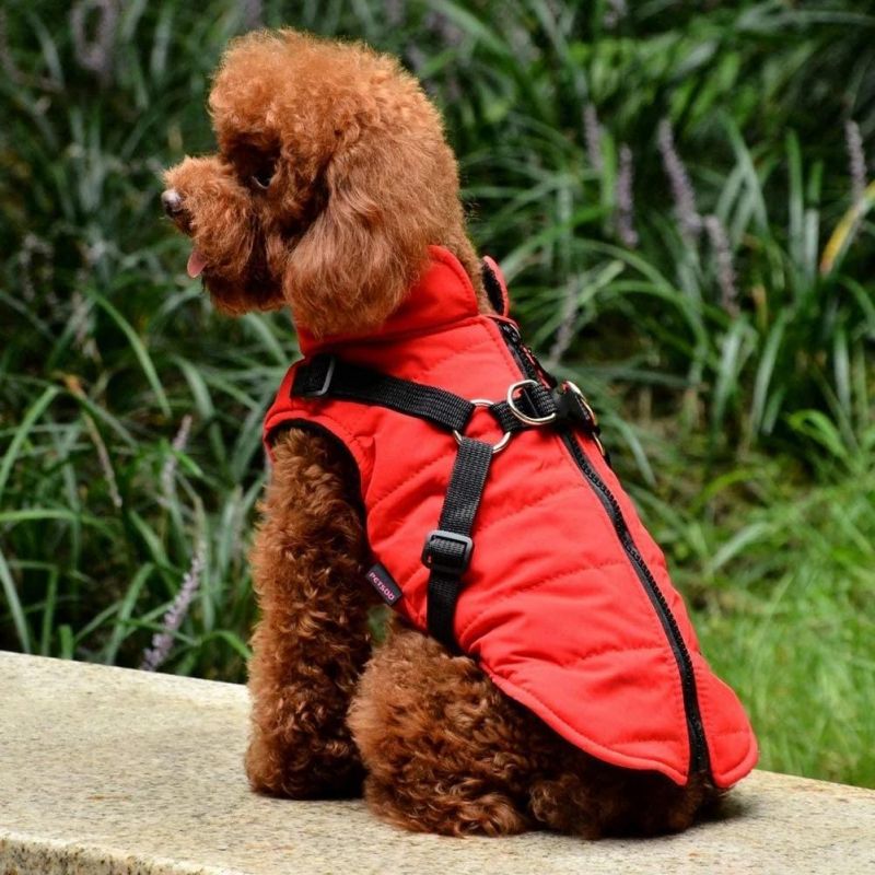 Easy to Wear Zipper Design Dog Coat