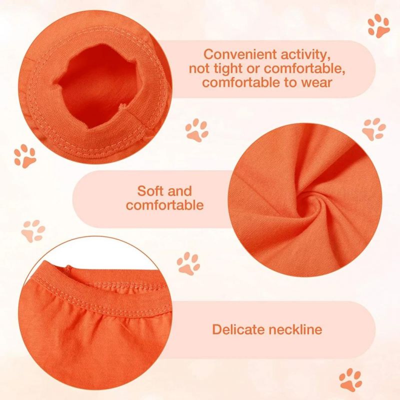 Soft Flexible Breathable Summer Dog T-Shirt