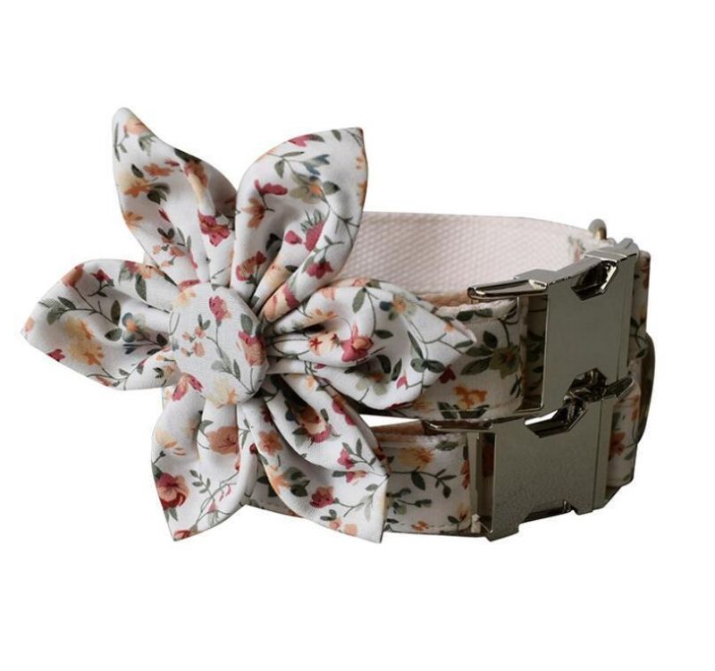 Adustable Metal Buckle Dog Collar with Matching Dog Leash