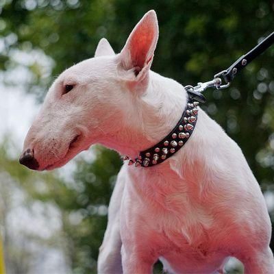 Neck Protection Anti-Bite Dog Collar PU Pet Collar