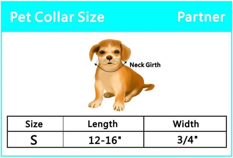 Basic Nylon Dog Collar with Classic Solid Color