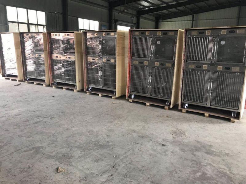 Veterinary 304 Stainless Steel 6 Pets Cages Vet Cages for Pet Clinic/Hospital