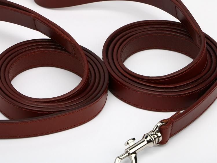 Hot Sale Tassel Gold Hardware Genuine Leather Dog Leash and Collar