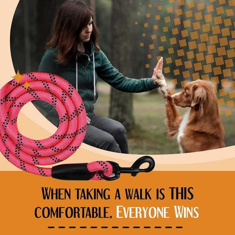 Reflective Strong Rope Dog Leash Chew Resistant Paracord for Medium and Large Dogs with Durable Metal Clasp