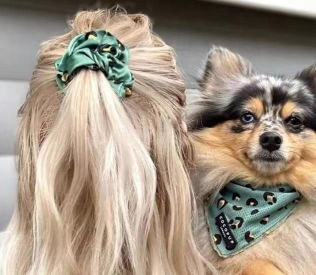 Fashion Personalized Designer Reversible Pet Dog Harness Soft Mesh Padded Luxury Adjustable Reversible No Pull Custom Pet Accessories
