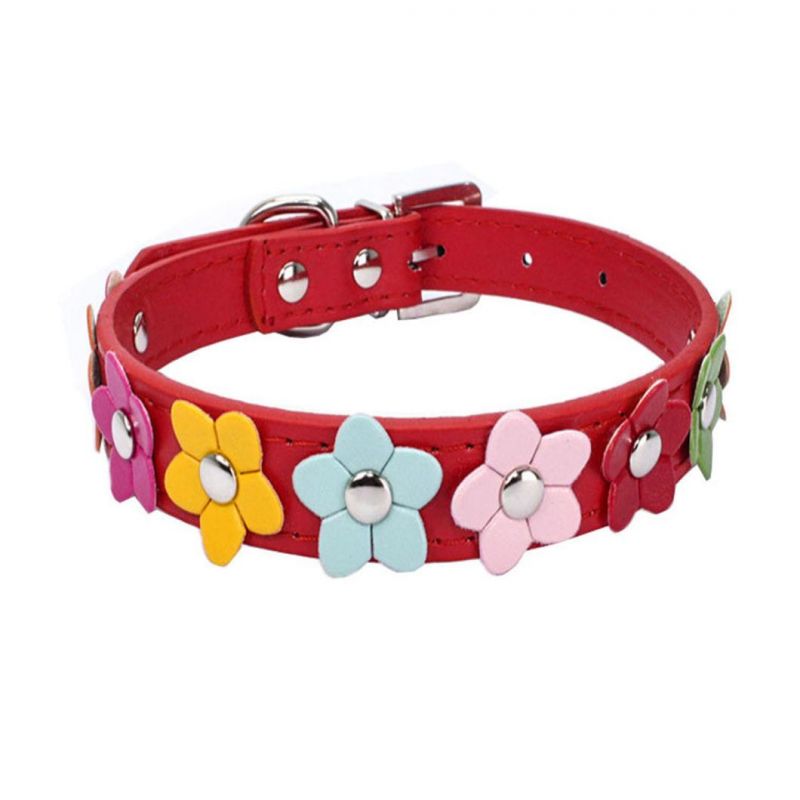 Charming Dog Collar with Beautiful Flowers Design