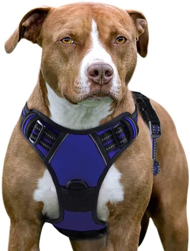Dog Harness No Pull Walking Pet Harness with 2 Metal Rings and Handle