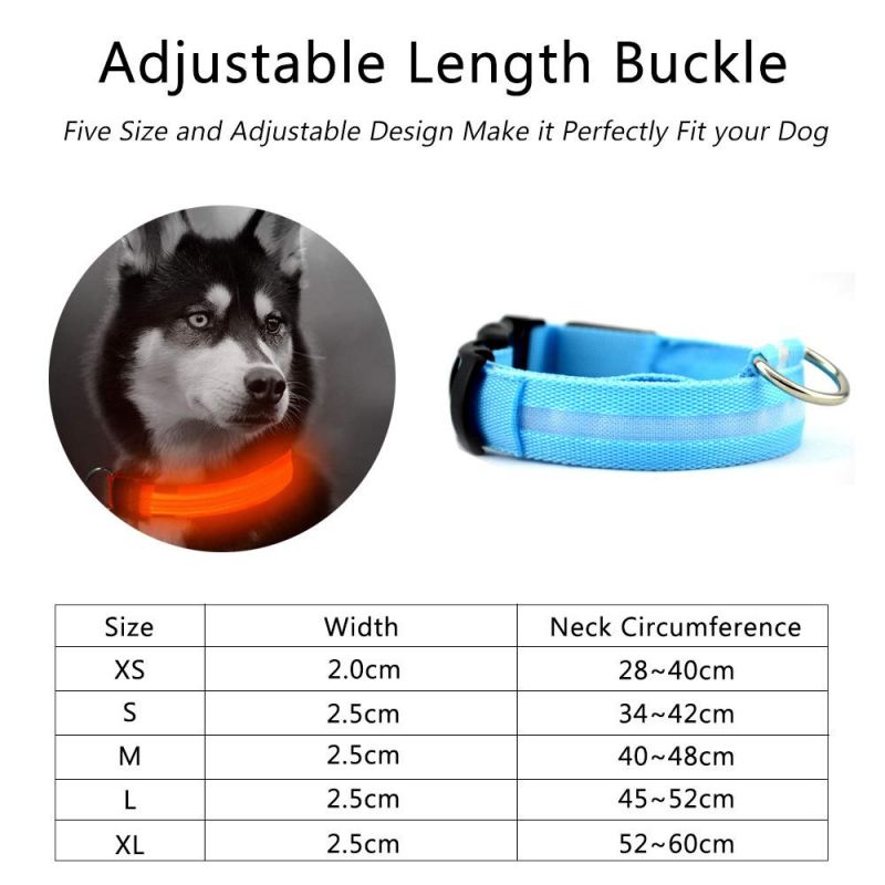 Hot Safety Pet Collar Lighted up Nylon LED Dog Collar Dog Products