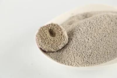 Nature Bentonite Litter Used for Cat Toliet