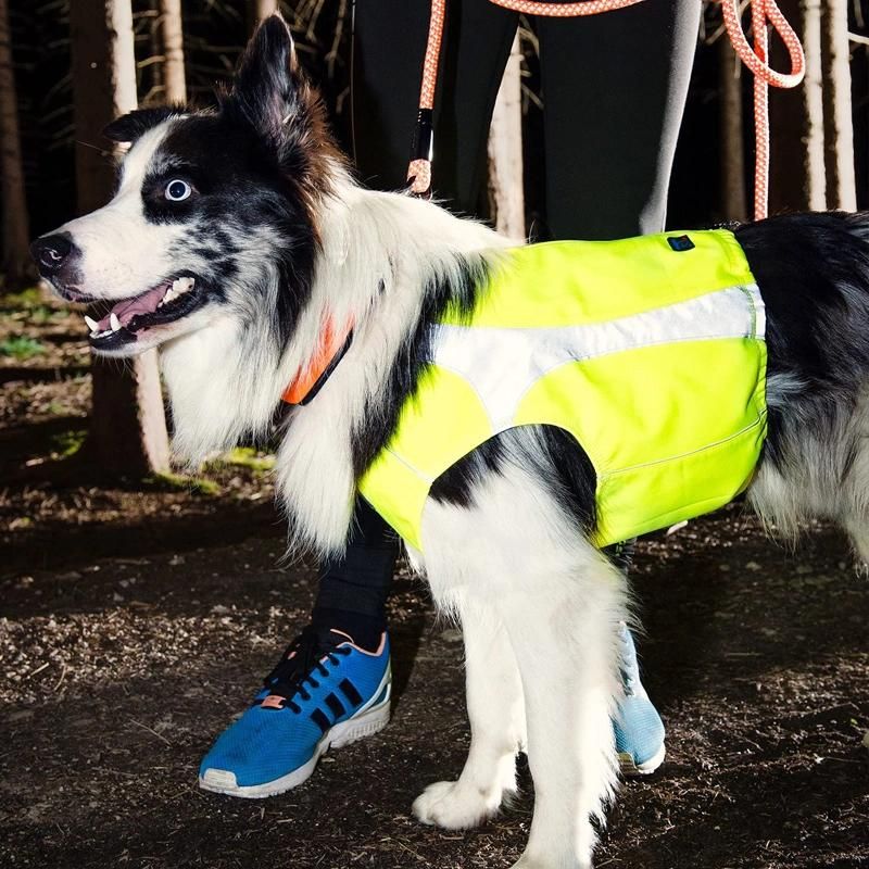 Waterproof Windproof Reflective Dog Vest Dog Jacket for Small, Medium, & Large Dogs