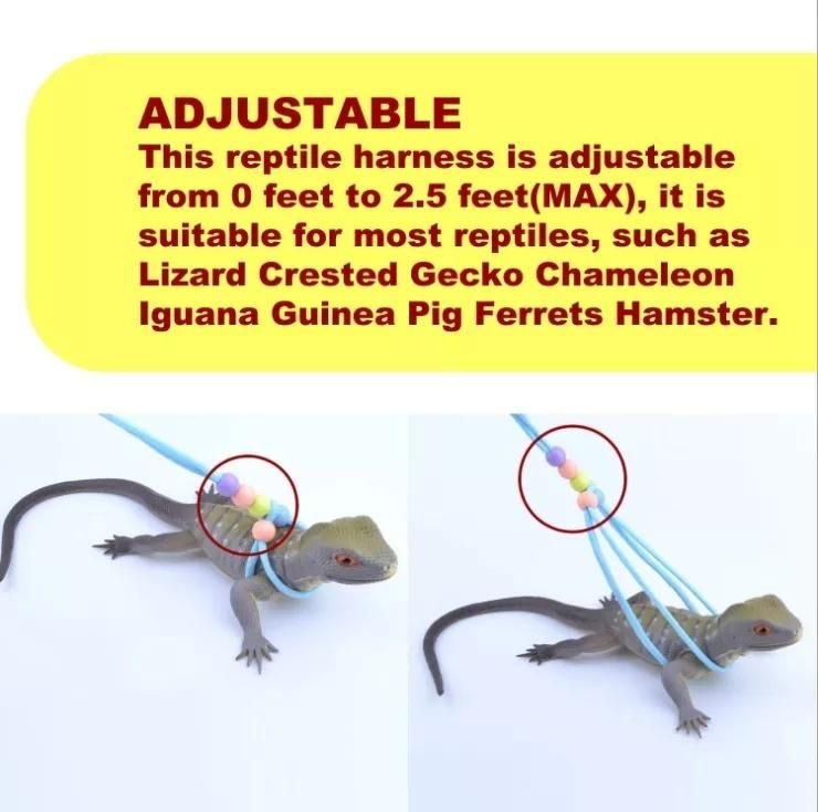 New Design Adjustable Reptile Lizard Gecko Bearded Dragon Pet Walking Harness Leash Rope Small Pet Animal Harness Lizard Leash